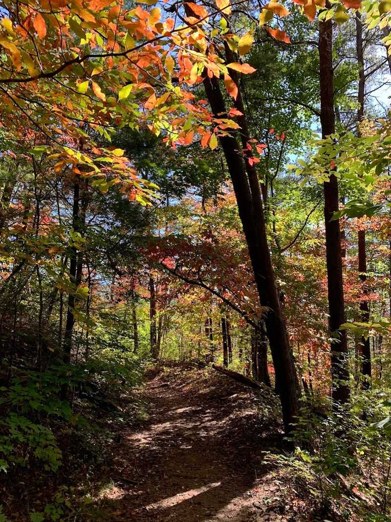 Trailhead Access From Cisco Road That Sets The Scene Early