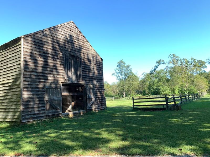 This Charming New Jersey State Park Is Full Of Quiet Beauty And History - Decor Hint Camping Under The Jersey Pines