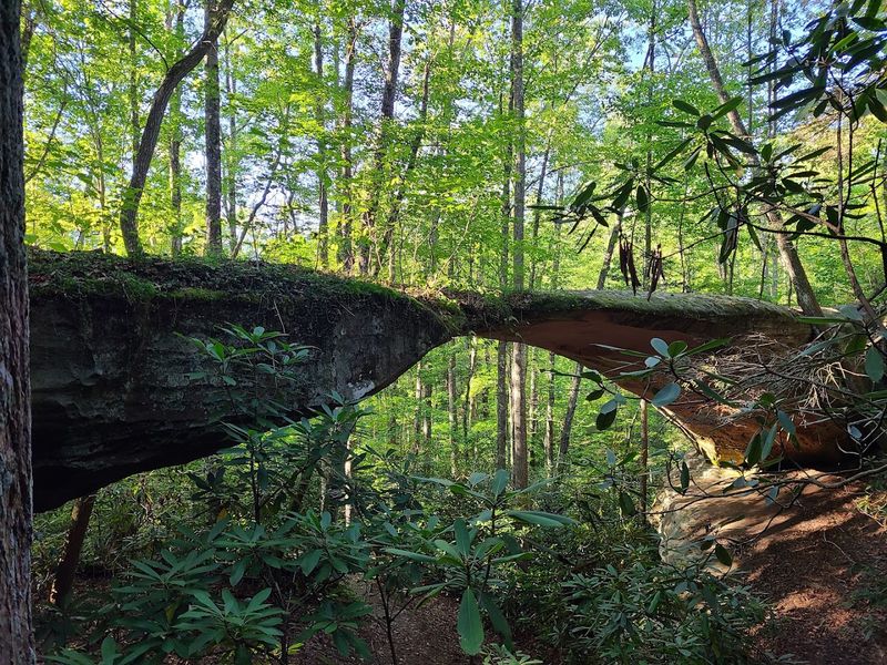 This Tennessee State Park Quietly Delivers One Of The Most Memorable Experiences Around - Decor Hint Rock Arches And Geological Wonders