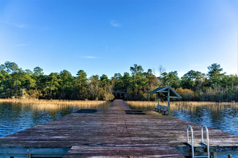 Wildlife Encounters Worth The Trip