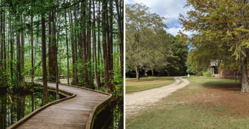 Travelers Looking For Quiet Beauty Keep Falling For This South Carolina State Park
