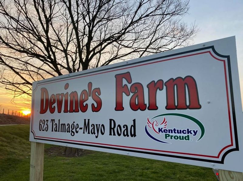 Devine's Farm Market