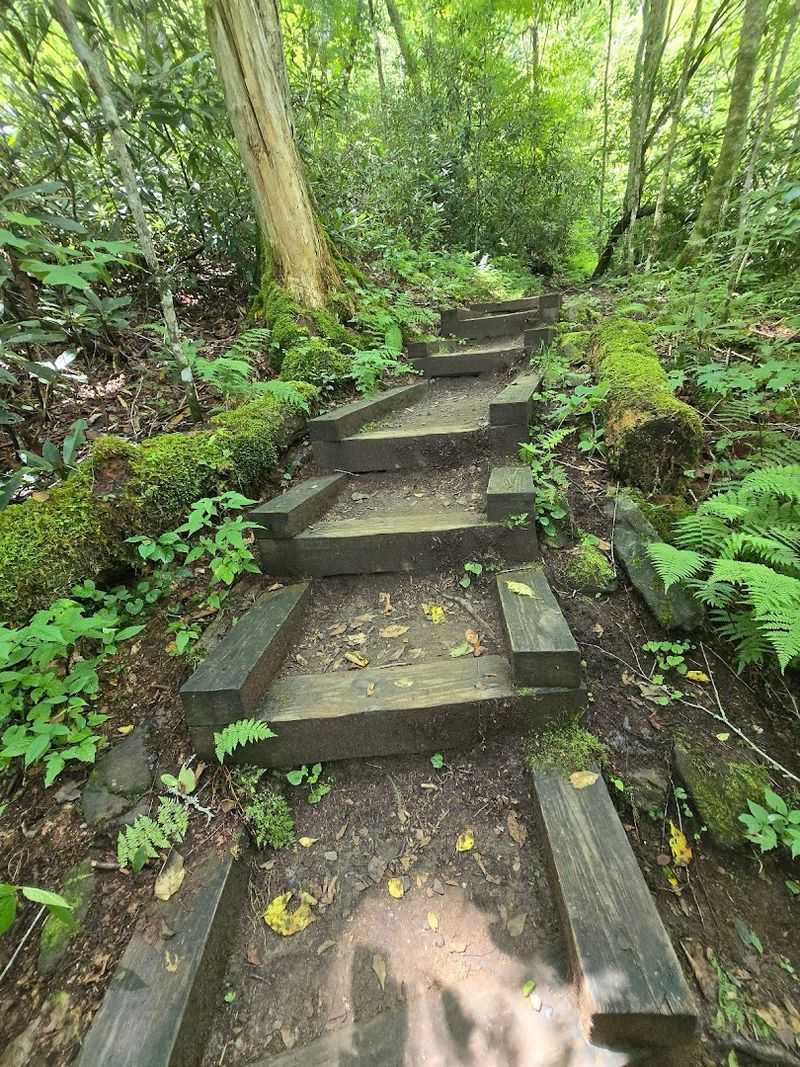 Joyce Kilmer Memorial Loop Trail