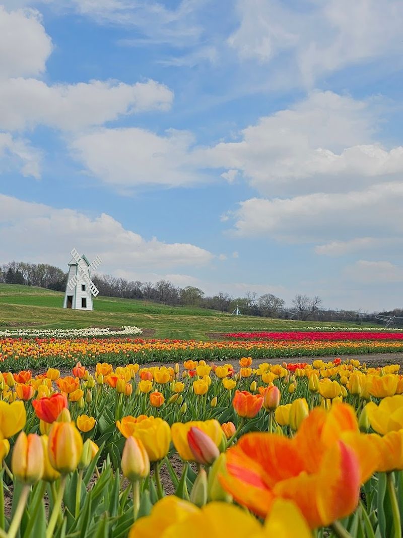 Nelson Produce Farm, Valley