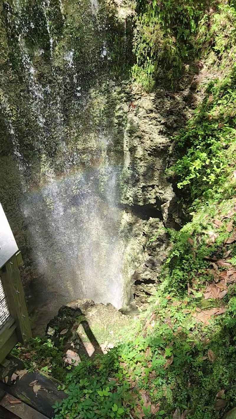 One Of Florida's Most Unexpected Waterfall Spots Is Hiding Along This Trail - Decor Hint Viewing Areas Give You Different Perspectives Of The Falls