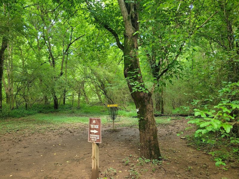 Disc Golf Course For A Fun Competitive Twist