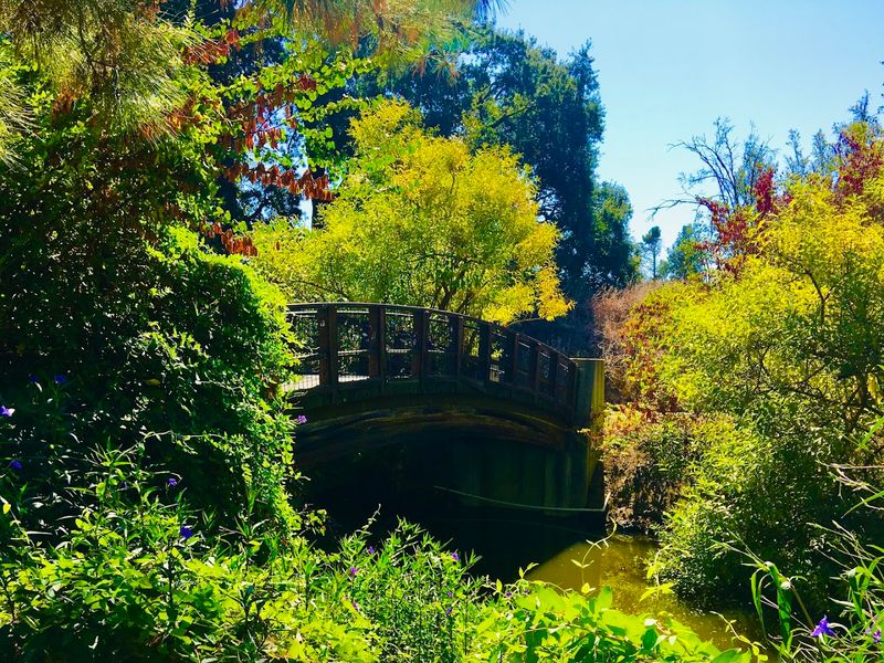 UC Davis Arboretum and Public Garden