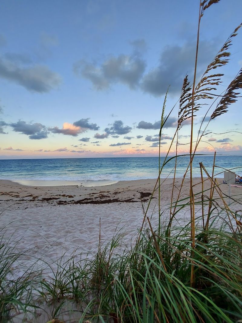 Golden Sands Beach Park And Its Marine Life