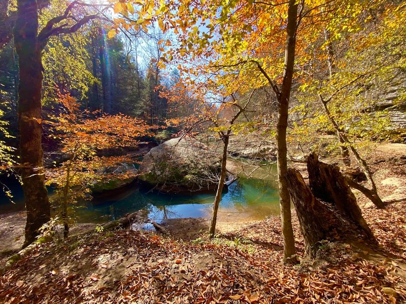 Stunning Fall Foliage That Transforms The Entire Gorge