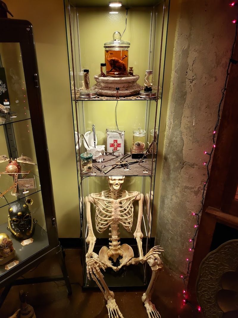 Seasonal Displays That Change With Halloween And Holidays