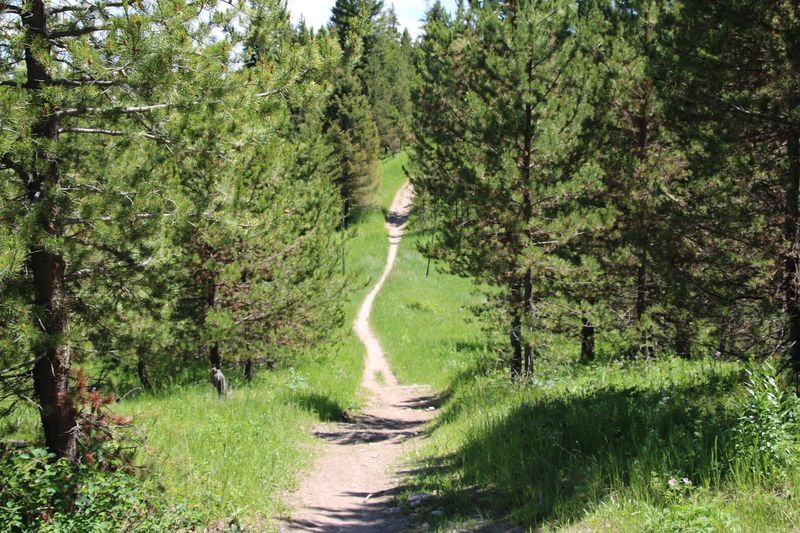These 8 Idaho Hiking Trails Offer The Perfect Mix Of Adventure And Incredible Views - Decor Hint Ranch Loop Trail, Harriman State Park