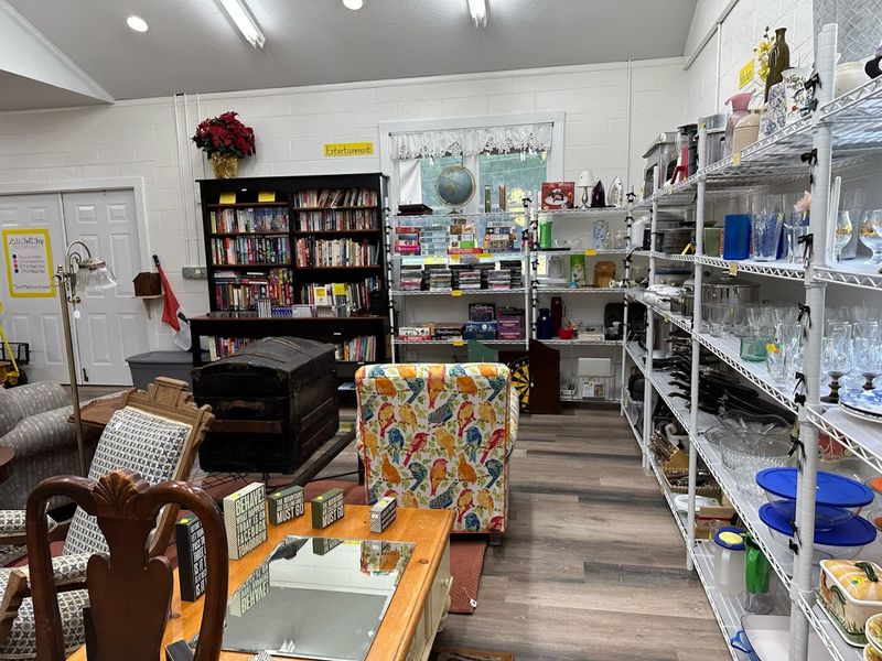 Small-Town Thrifting With A Clear Cause