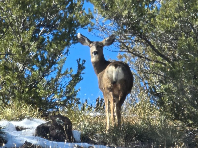 Outdoor Recreation Right Outside Your Door