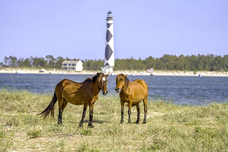 Essential Tips For Your Visit