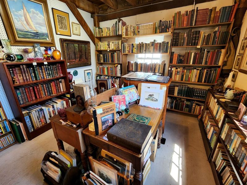 Books, Art, And Paper Goods For The Curious Mind
