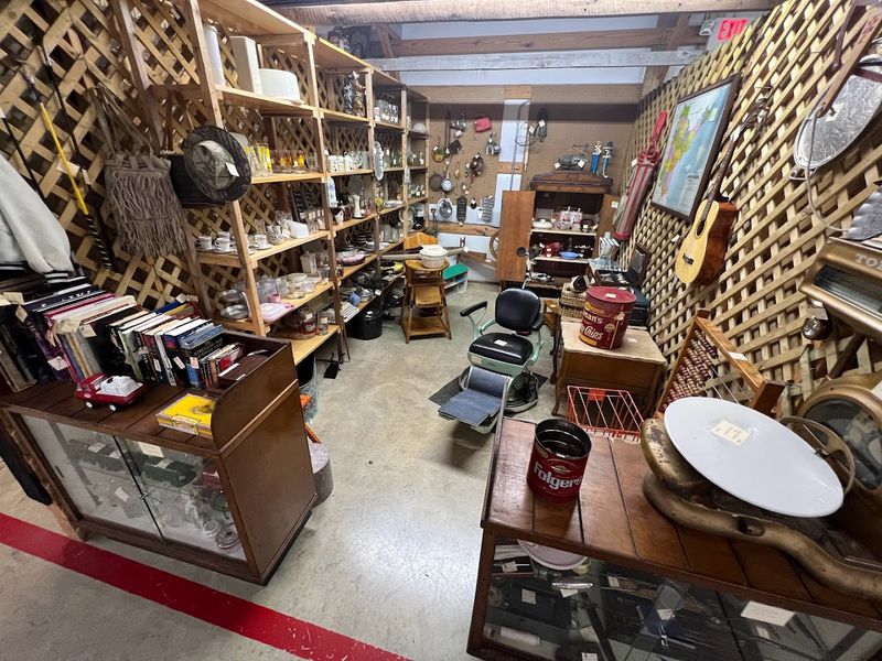 Books and Printed Treasures for Curious Minds