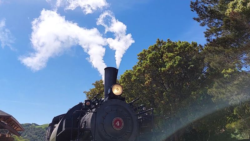 Steam And Diesel Rides