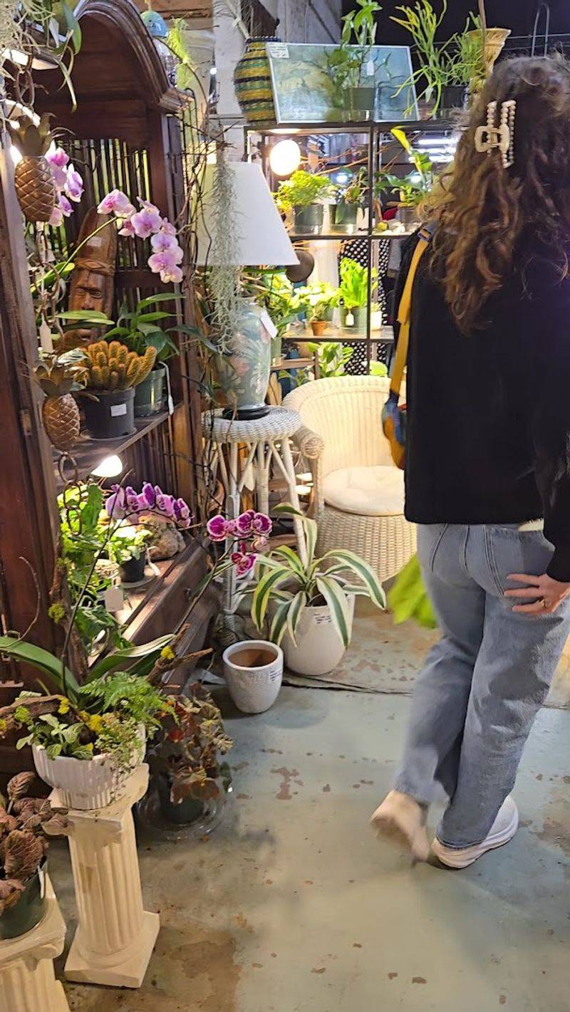 Plants And Living Greenery Mixed In With The Vintage Goods