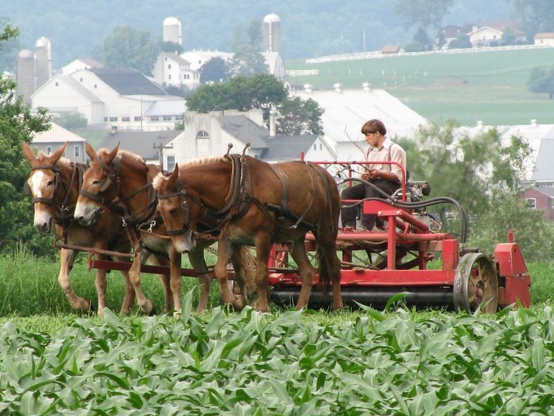The Town That Carries Centuries Of Tradition