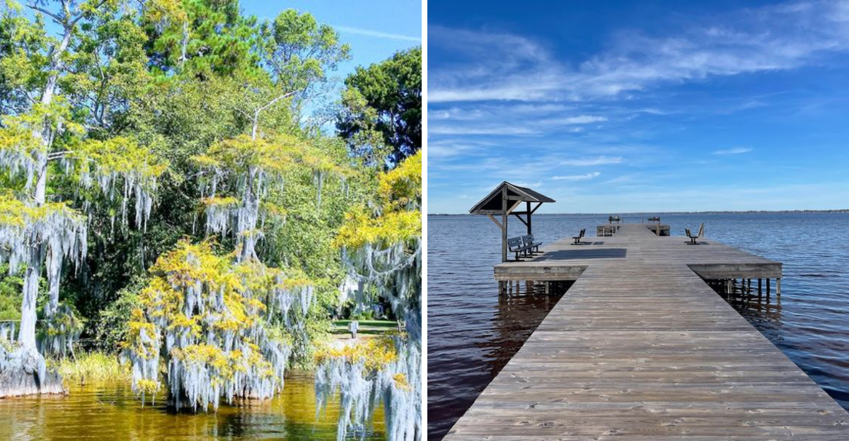Visitors Say This Unusual North Carolina Lake Looks Like A Swamp Straight Out Of A Mystery Novel - Decor Hint