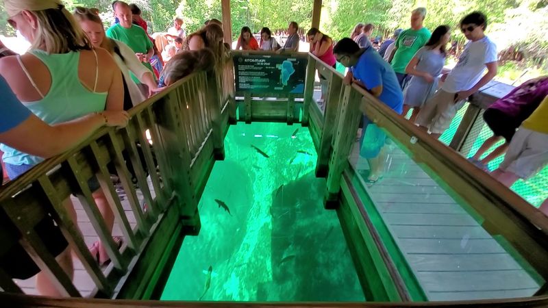 The Ultimate Michigan Bucket List For Travelers Who Want To See It All - Decor Hint Float Over Kitch-Iti-Kipi