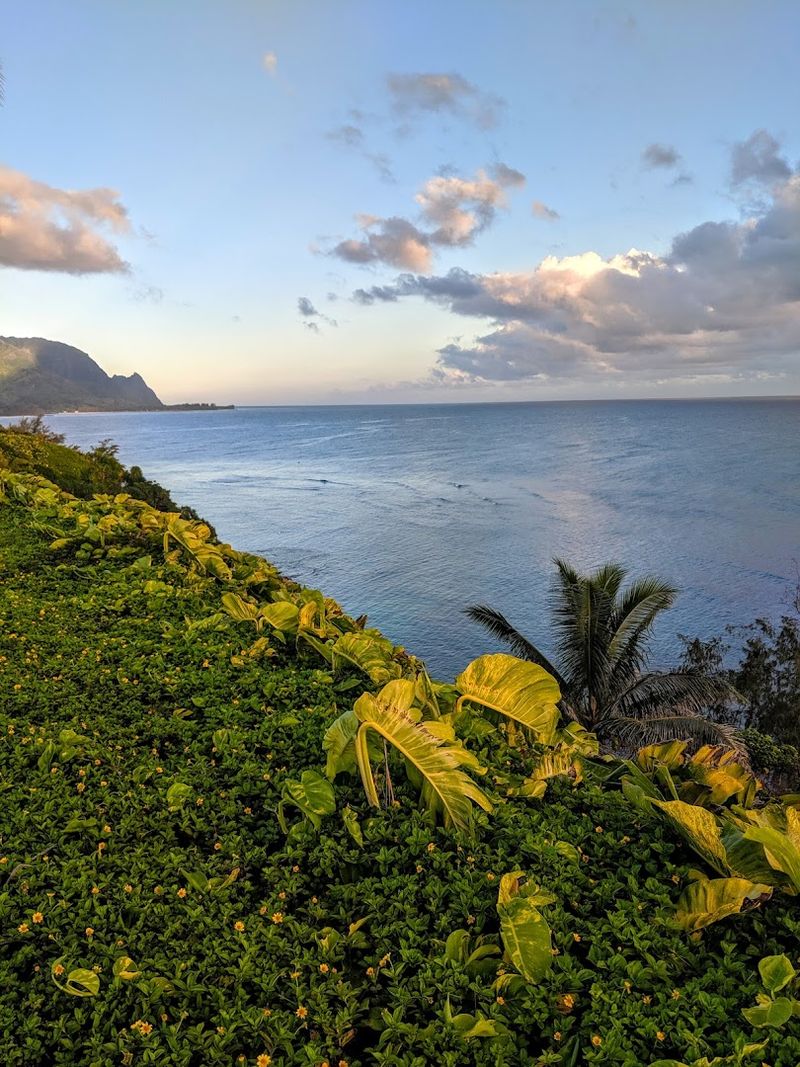 10 Warm And Scenic Hawaii Destinations Perfect For Retirement Living - Decor Hint Princeville
