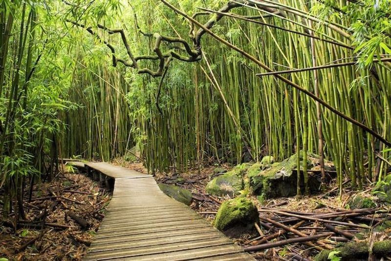 Haleakala National Park