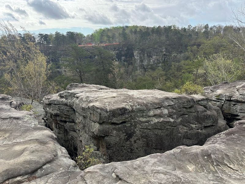 The Geology And Landscape That Make It All Possible