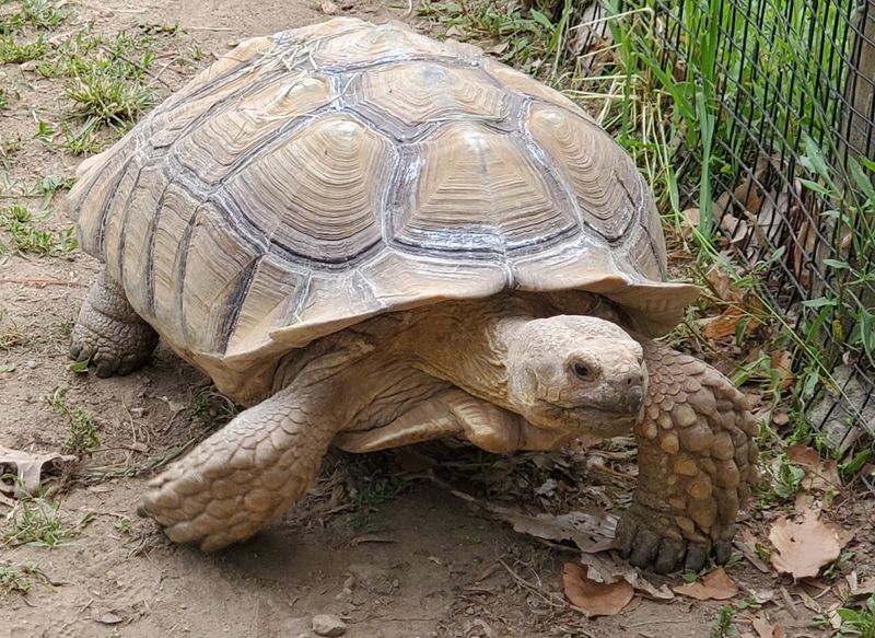 Visit Any Season For Outdoor Wildlife Fun