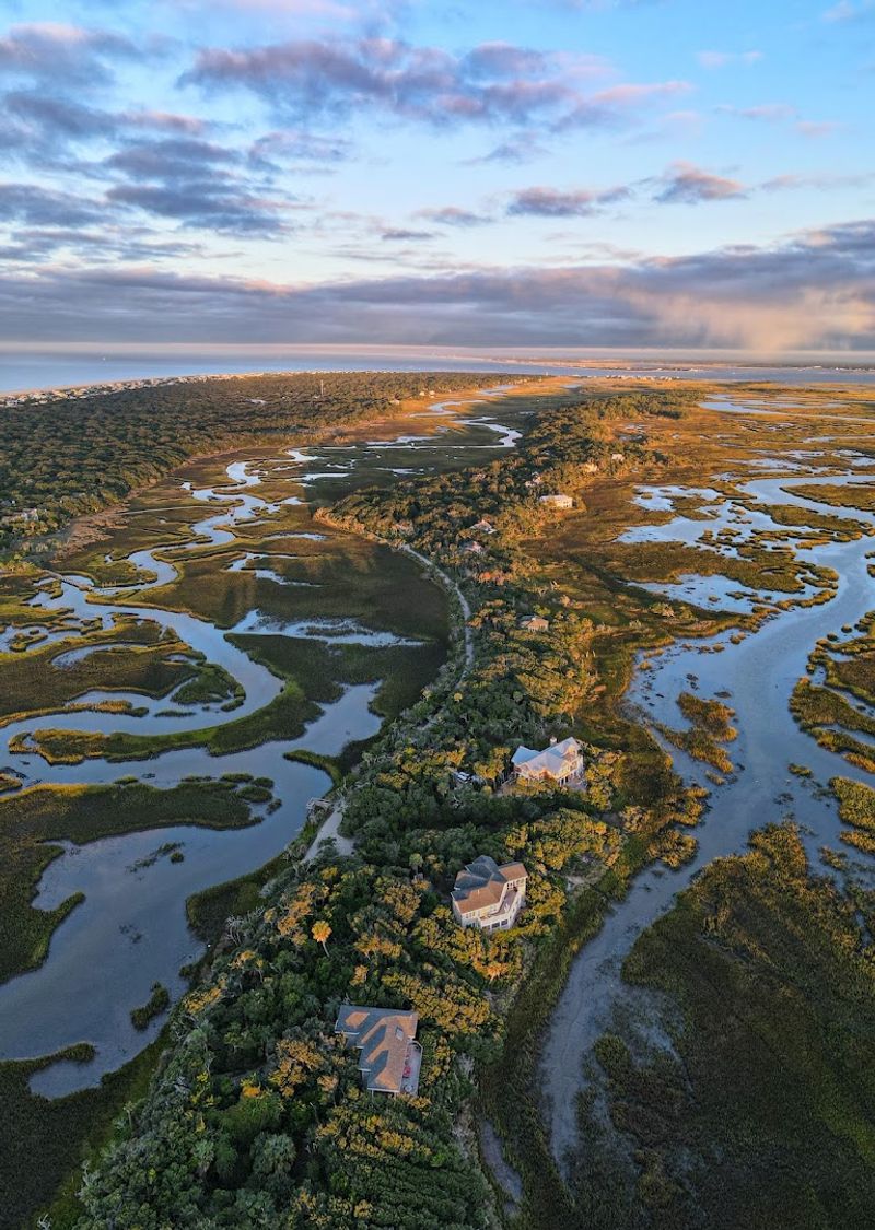 Exploring The Bald Head Island Conservancy