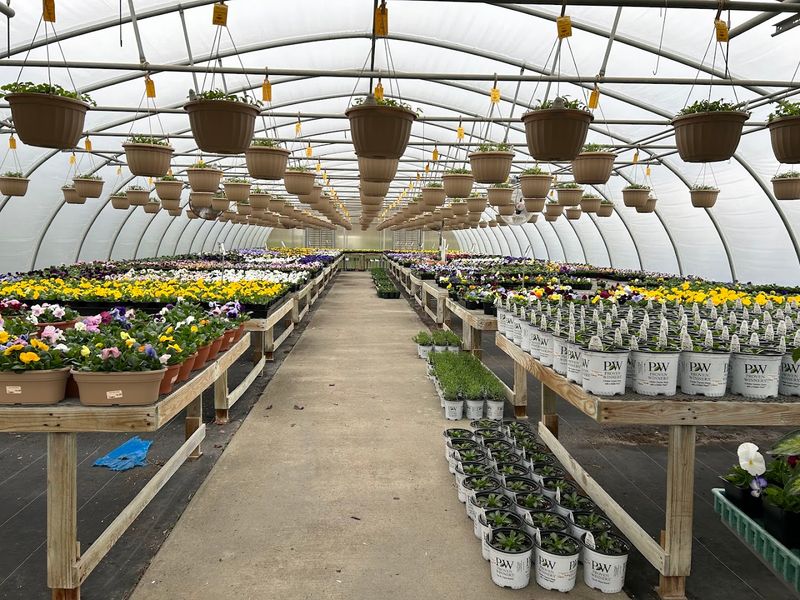 16 Garden Shops In Kentucky That Are Worth A Spring Road Trip - Decor Hint Baeten's Nursery & Greenhouses