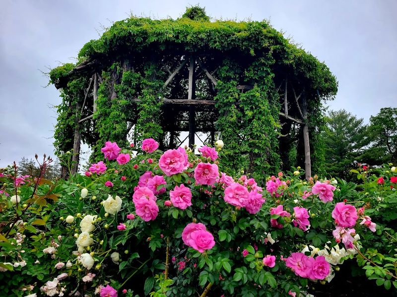 The Gazebo That Makes Every Photo Better