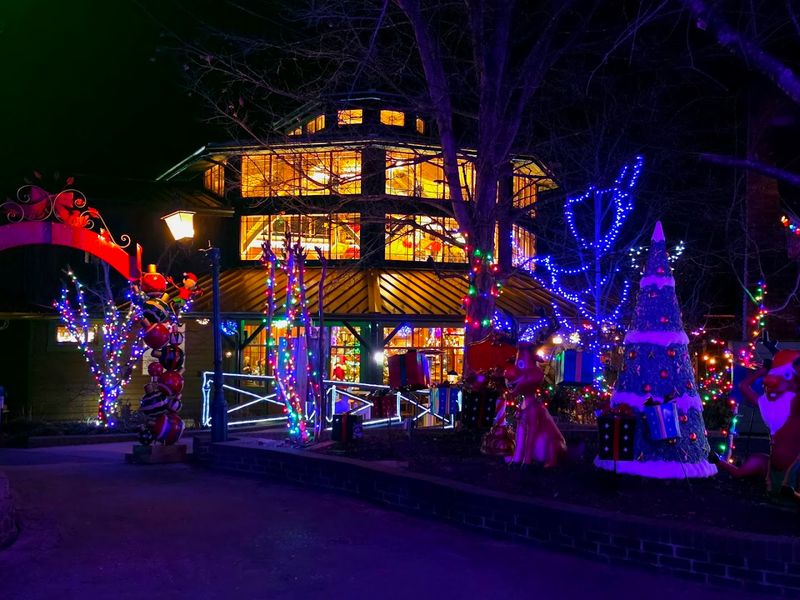 The Festival of Lights That Transforms the Whole Settlement