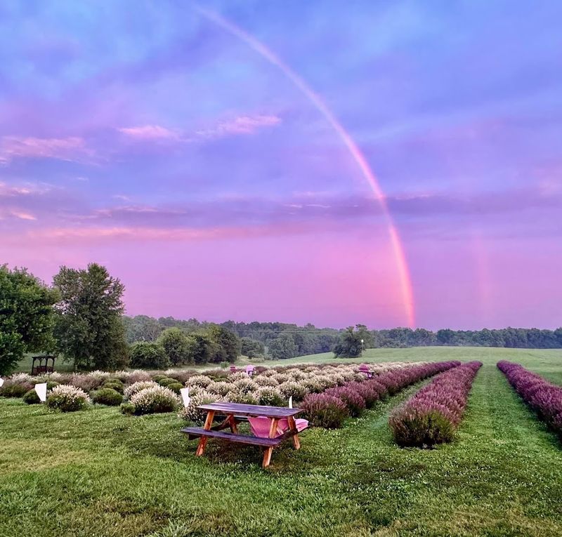 Perfect Destination for a Memorable Date Night