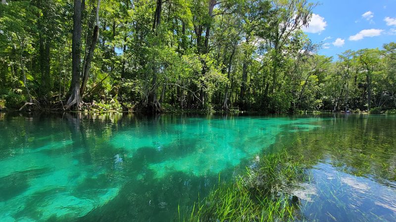 Silver Springs State Park 