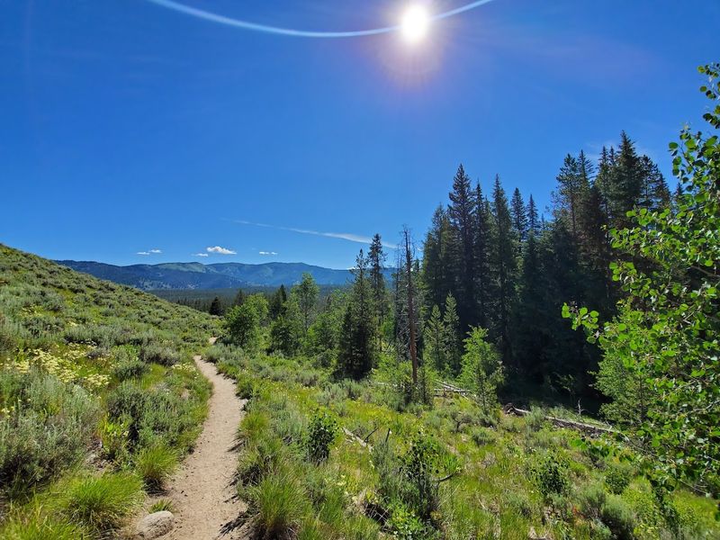 Hiking Trails For Every Skill Level