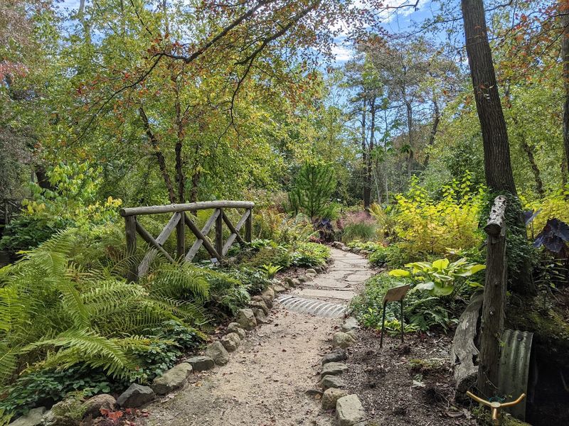 The Royce Rhododendron Garden In Full Bloom