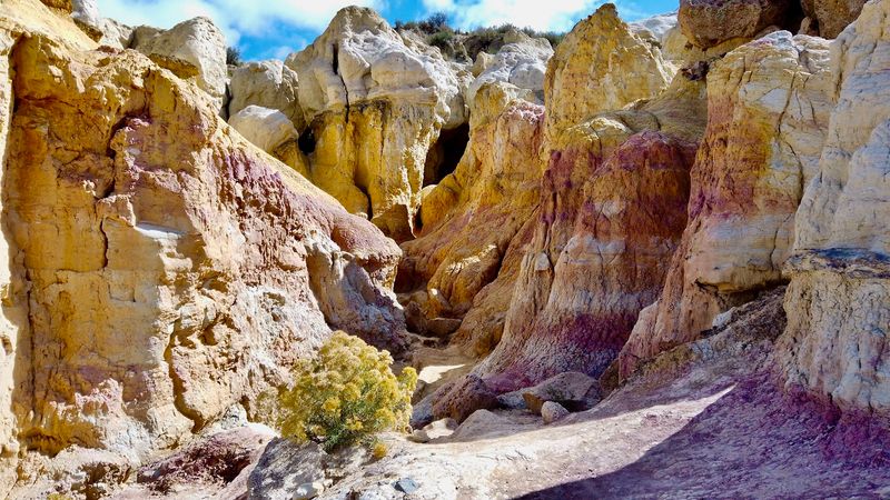 Ancient History Buried In The Clay