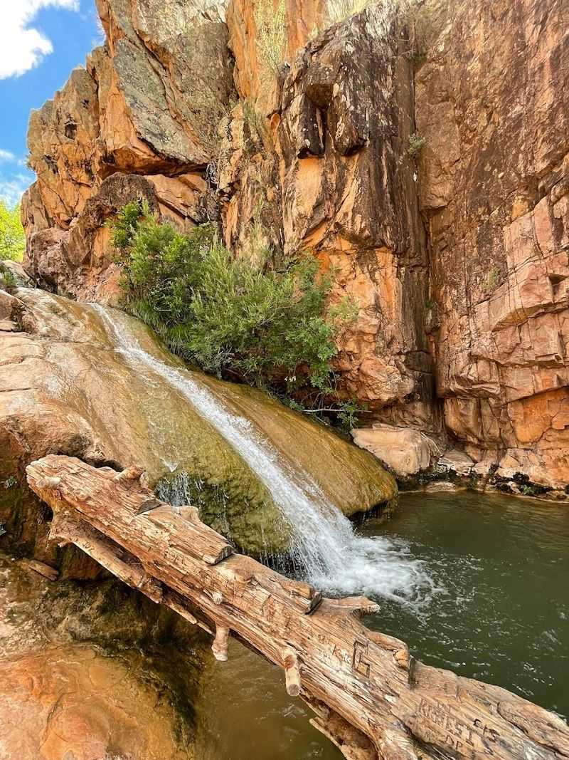 This Easy Arizona Trail Leads To A Stunning Waterfall That Feels Almost Unreal - Decor Hint Why This Trail Sticks With You Long After You Leave