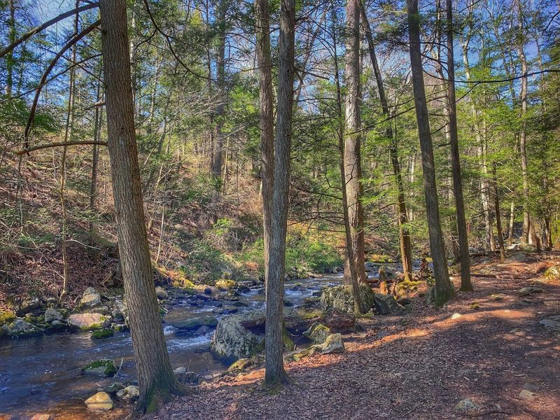 Hiking Trails With Wooded Views