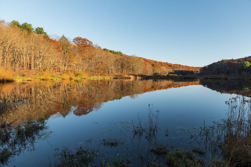 When To Visit Before Moving Here