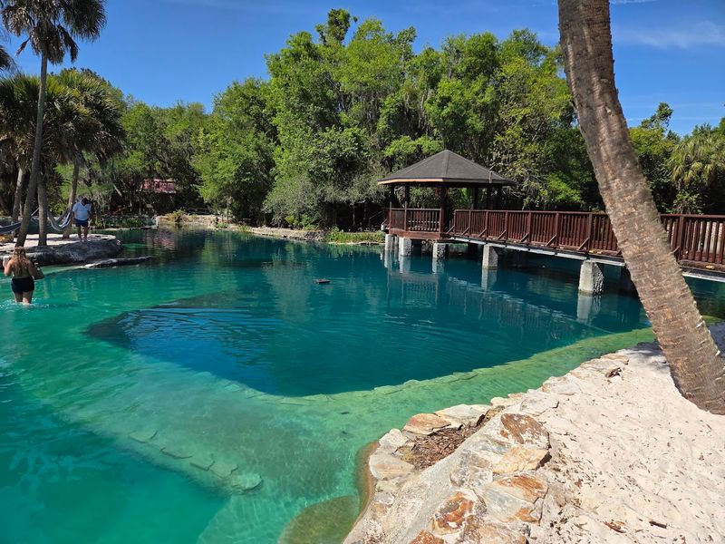 Florida Has A Natural Pool So Ancient And Otherworldly That Swimming In It Feels Like Diving Into Another Era - Decor Hint Snorkeling The Ancient Spring