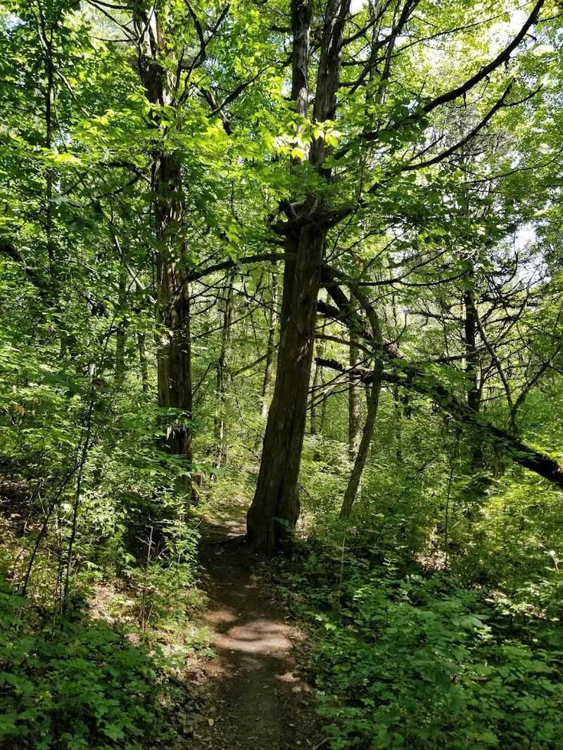 Trails That Lead You There