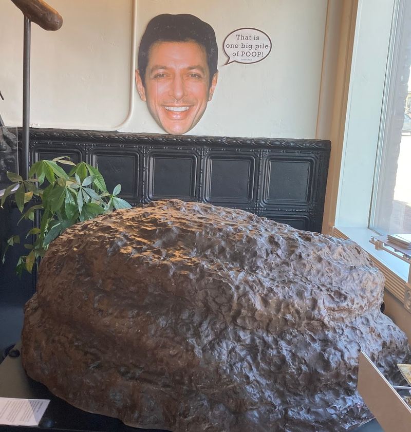 The T. Rex Coprolite That Stops Everyone Cold
