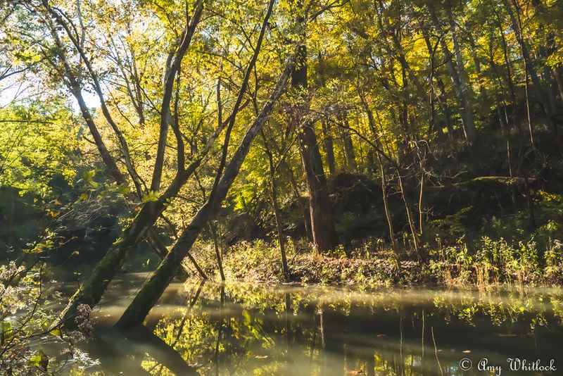 The Creek That Steals The Show