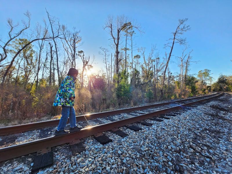 The Mysterious Abandoned Town In Florida That Few People Dare To Explore - Decor Hint The Old Railroad Grade