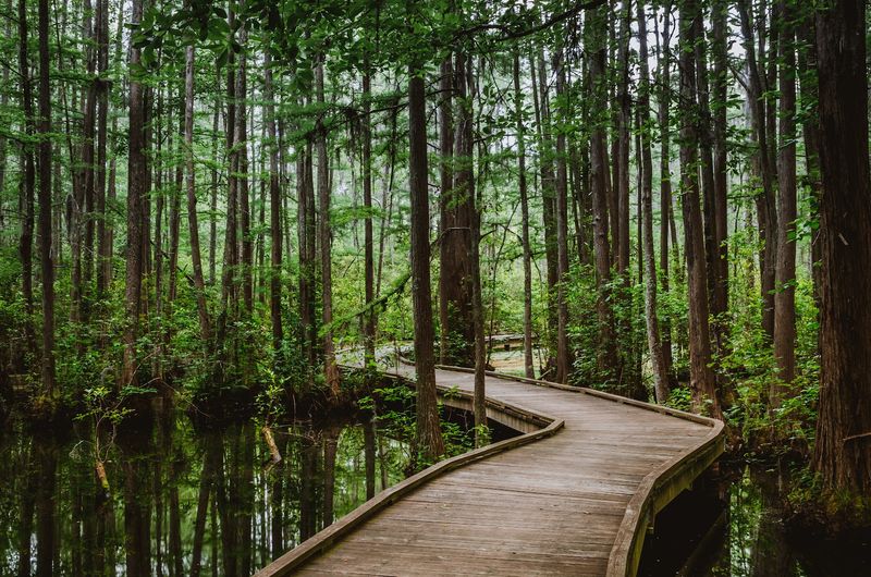 Why This Park Keeps Earning Return Visits