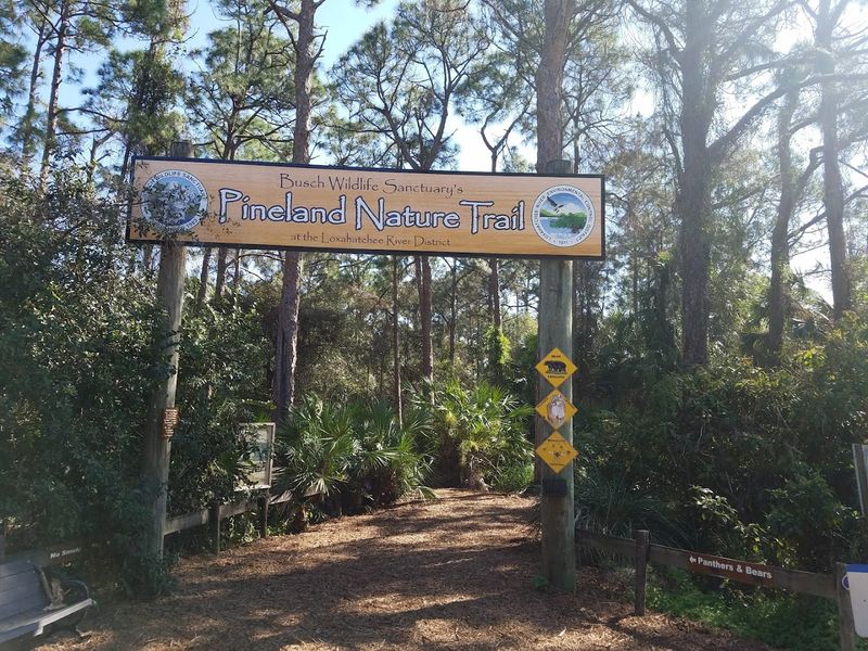 A Florida Animal Sanctuary Treats More Than 4,500 Injured Creatures Each Year And Visitors Are Welcome - Decor Hint Why This Sanctuary Deserves A Spot On Your Weekend List