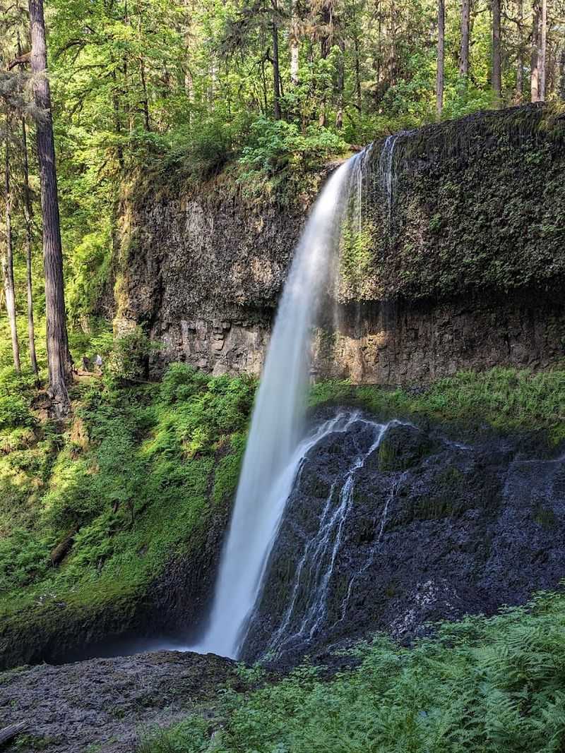 Beyond The Main Loop Trail