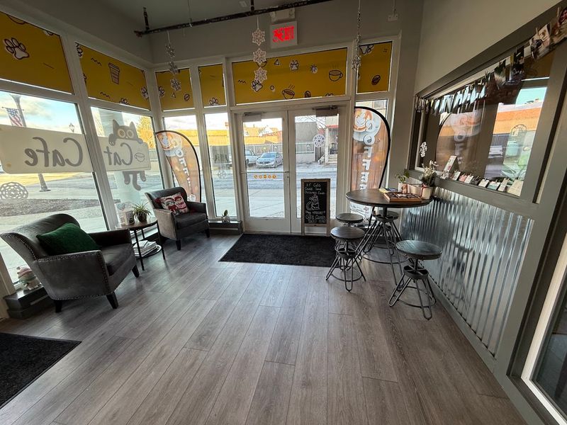 Why This Cafe Feels So Cozy